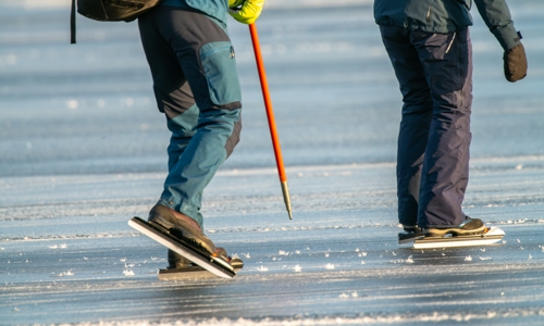 Shutterstock 2280083283