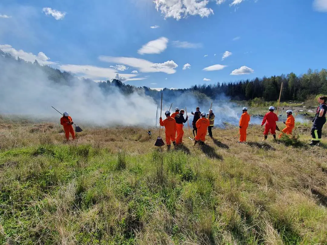 Medlemmar ur brandvärnet släcker gräsbrand